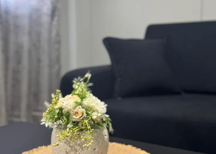 Dream House Shkodër