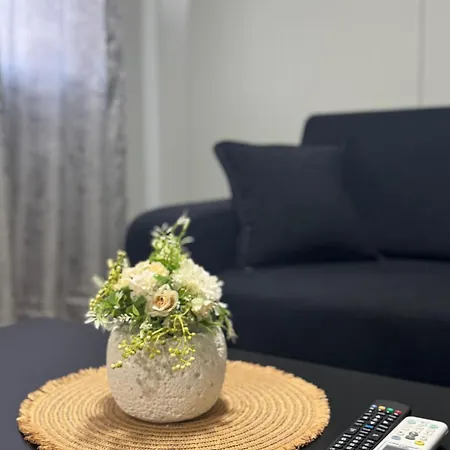 Dream House Shkodër